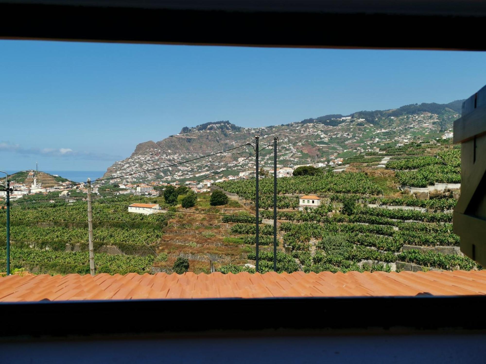 Villa Nova Madeira In Funchal Casa A And B Rum bild